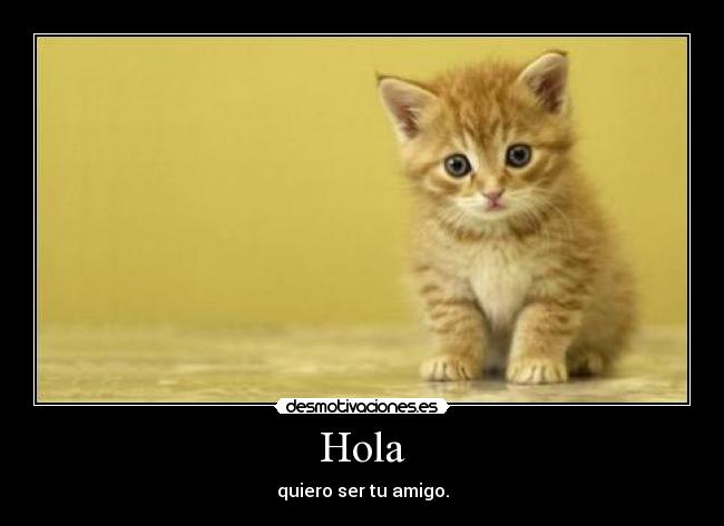 Hola - quiero ser tu amigo.