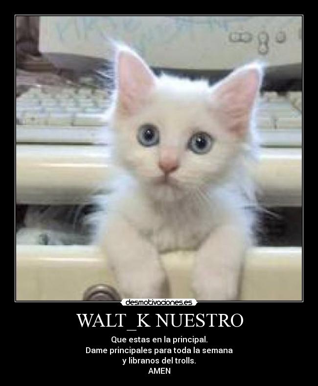 WALT_K NUESTRO - 