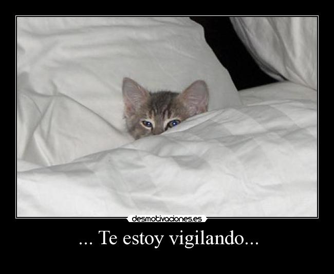 ... Te estoy vigilando... -