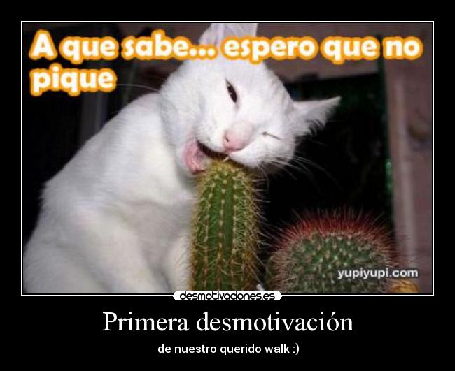 Primera desmotivación - de nuestro querido walk :)