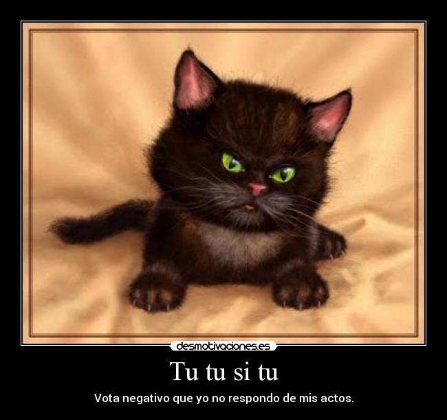 Tu tu si tu - Vota negativo que yo no respondo de mis actos.