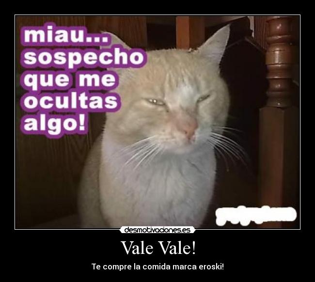 Vale Vale! -