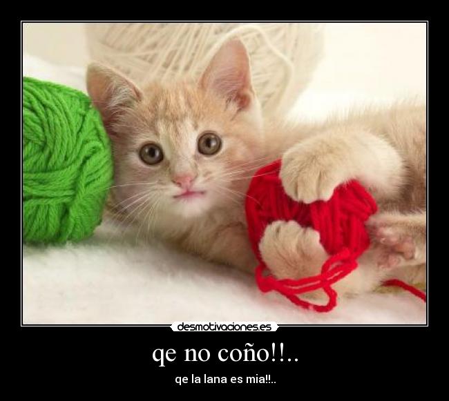 qe no coño!!.. - qe la lana es mia!!..