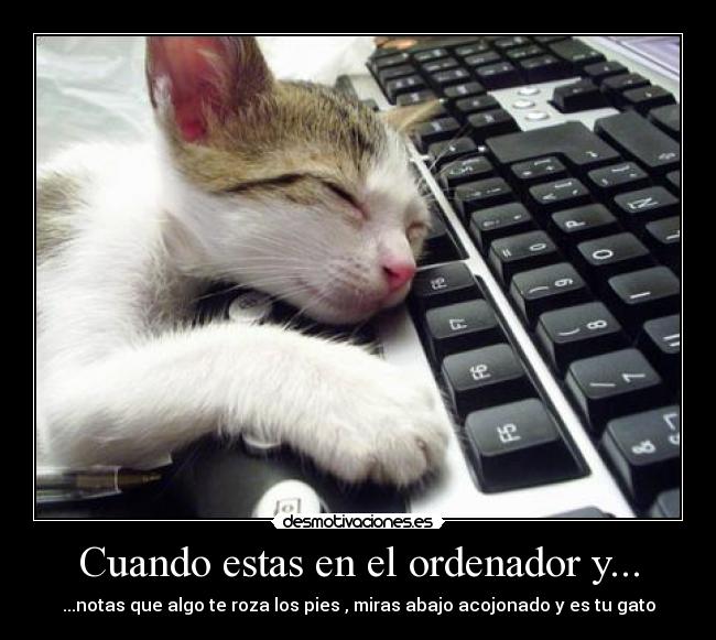 Cuando estas en el ordenador y... - 