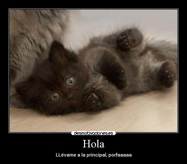 Hola - LLévame a la principal, porfaaaaa