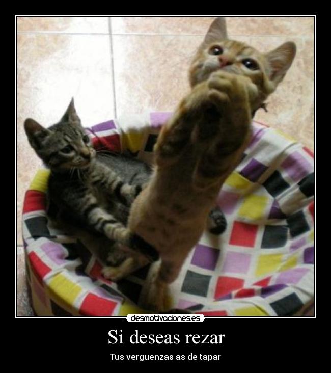 Si deseas rezar - Tus verguenzas as de tapar