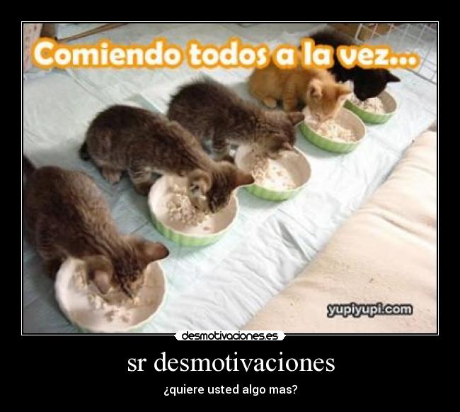 sr desmotivaciones - 