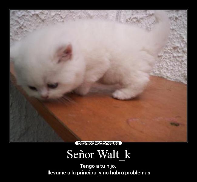 Señor Walt_k - 