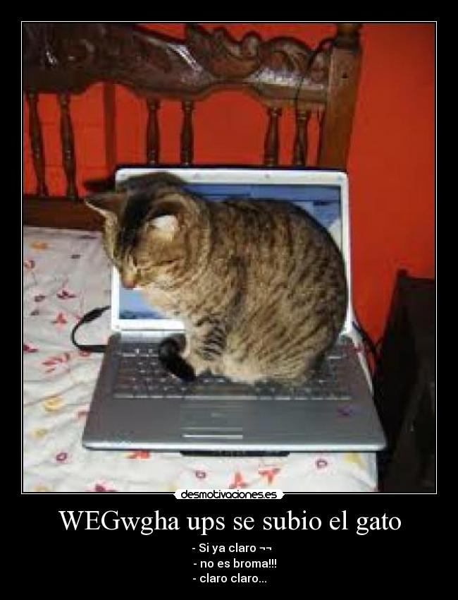 WEGwgha ups se subio el gato -