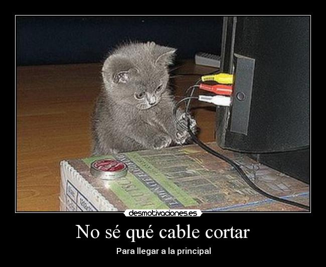 No sé qué cable cortar - 