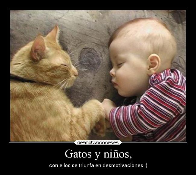 Gatos y niños, - con ellos se triunfa en desmotivaciones :)