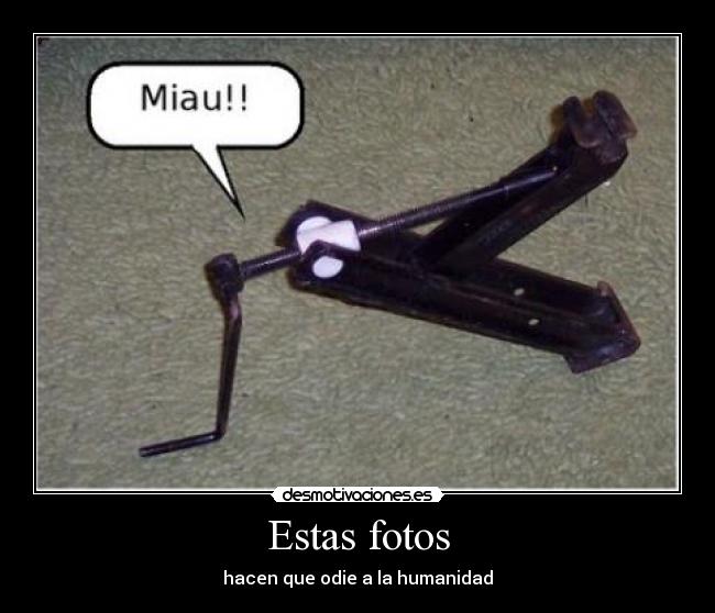 Estas fotos - 