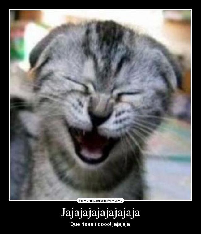 Jajajajajajajajaja -