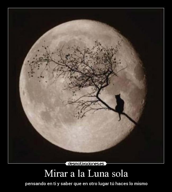 Mirar a la Luna sola - 