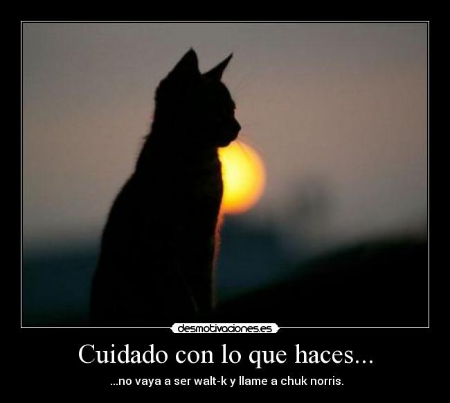 Cuidado con lo que haces... - ...no vaya a ser walt-k y llame a chuk norris.