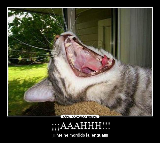 ¡¡¡AAAHHH!!! - ¡¡¡¡Me he mordido la lengua!!!!