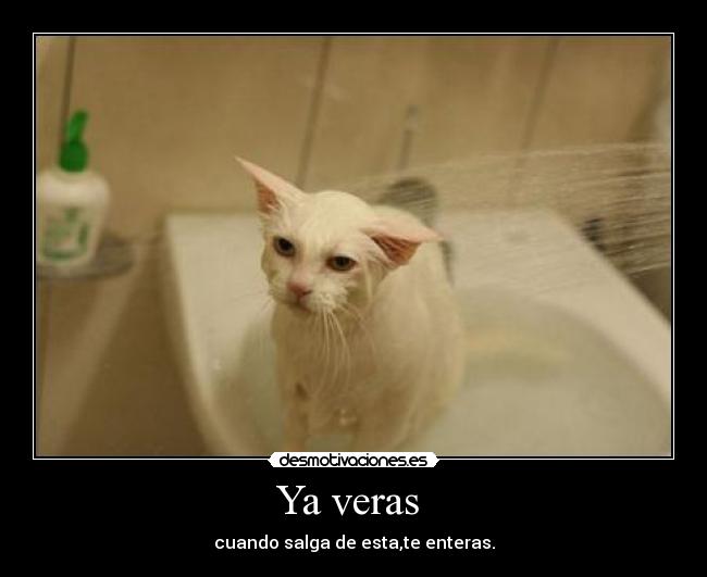 Ya veras  - cuando salga de esta,te enteras.