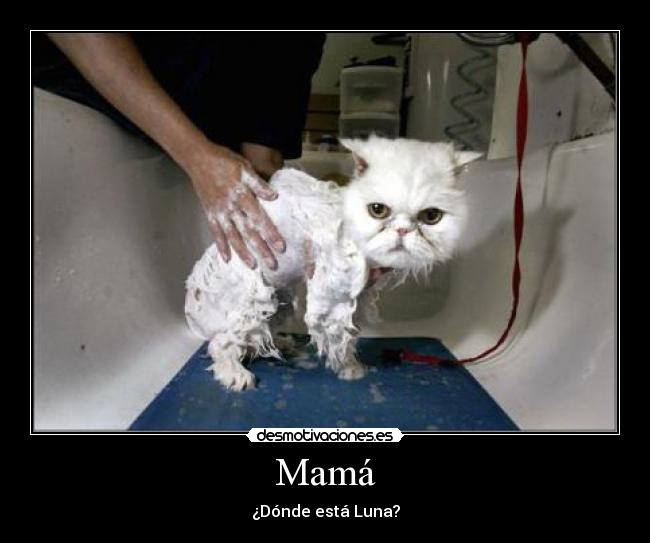 Mamá - ¿Dónde está Luna?