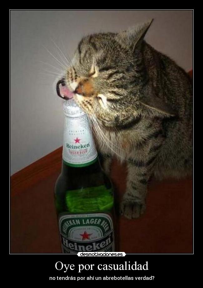 Oye por casualidad - 