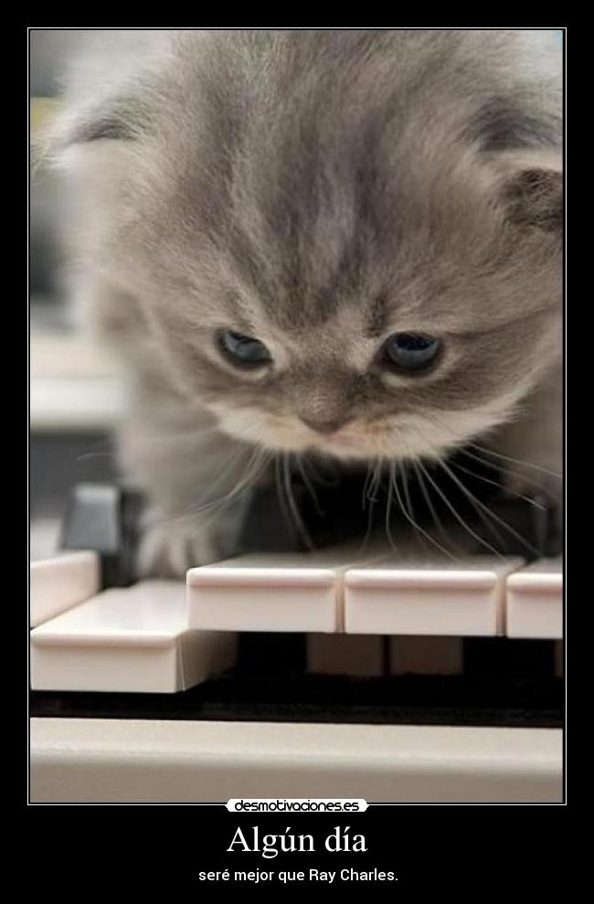 carteles gato piano ray desmotivaciones