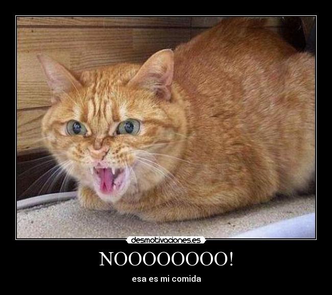 NOOOOOOOO! - 
