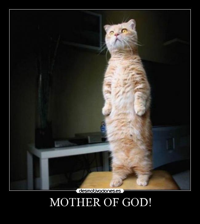 MOTHER OF GOD! -