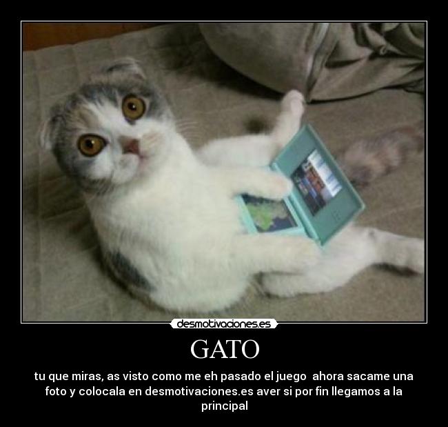 GATO - tu que miras, as visto como me eh pasado el juego ahora sacame una
foto y colocala en desmotivaciones.es aver si por fin llegamos a la
principal