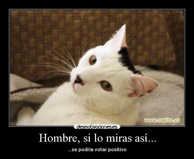 Hombre, si lo miras así... - 