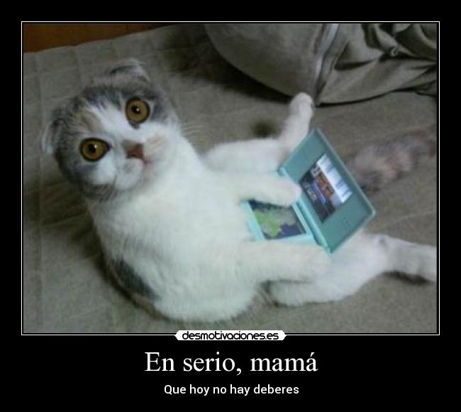 carteles gatosnintendo desmotivaciones