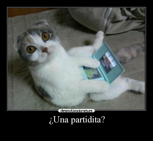 ¿Una partidita? - 
