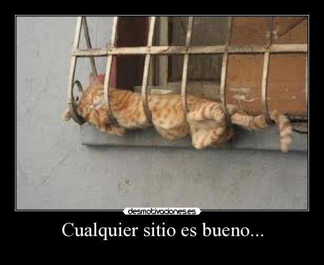 Cualquier sitio es bueno... - 