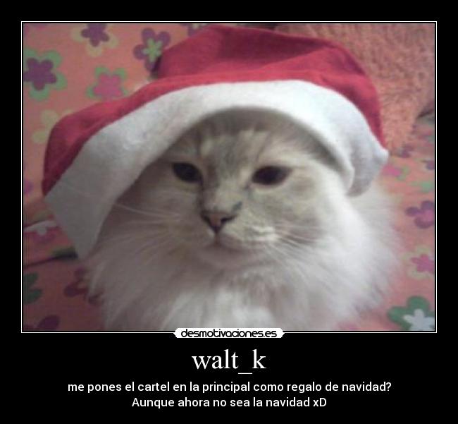 walt_k - me pones el cartel en la principal como regalo de navidad?
Aunque ahora no sea la navidad xD