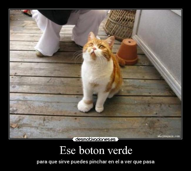Ese boton verde - 