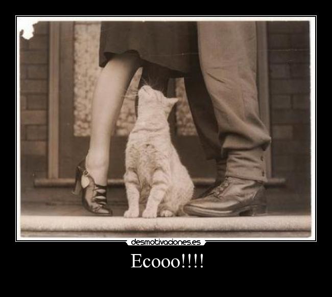 Ecooo!!!! -
