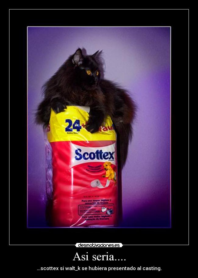 Asi seria.... - ...scottex si walt_k se hubiera presentado al casting.