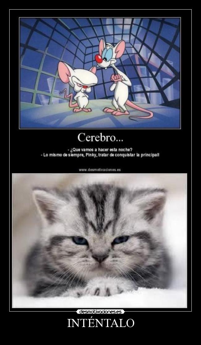 carteles pinky cerebro que vamos hacer principal walt gatosanimales fail chuck cola conquistar ratones desmotivaciones