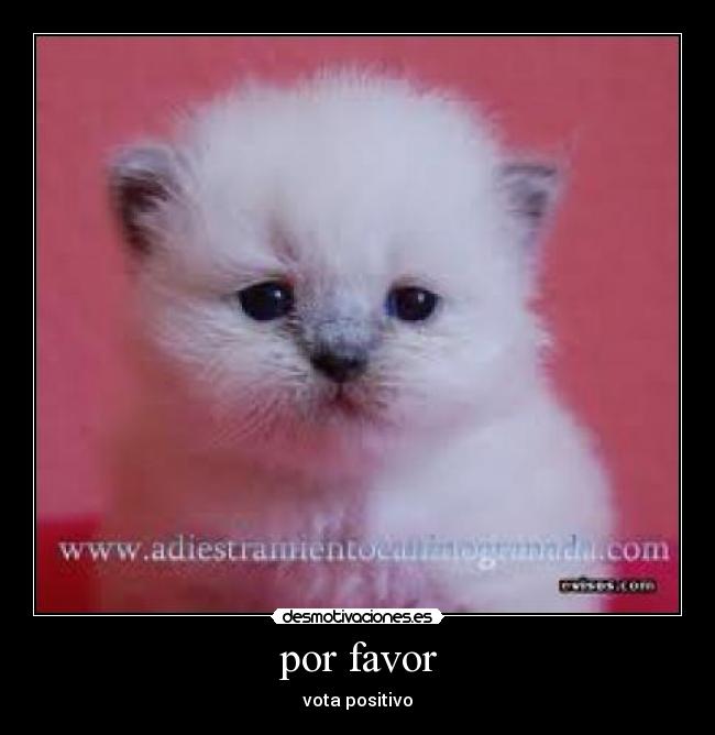 por favor -