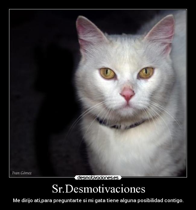 Sr.Desmotivaciones - 