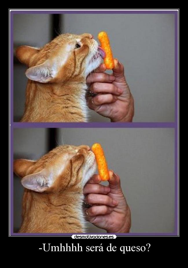 -Umhhhh será de queso? -