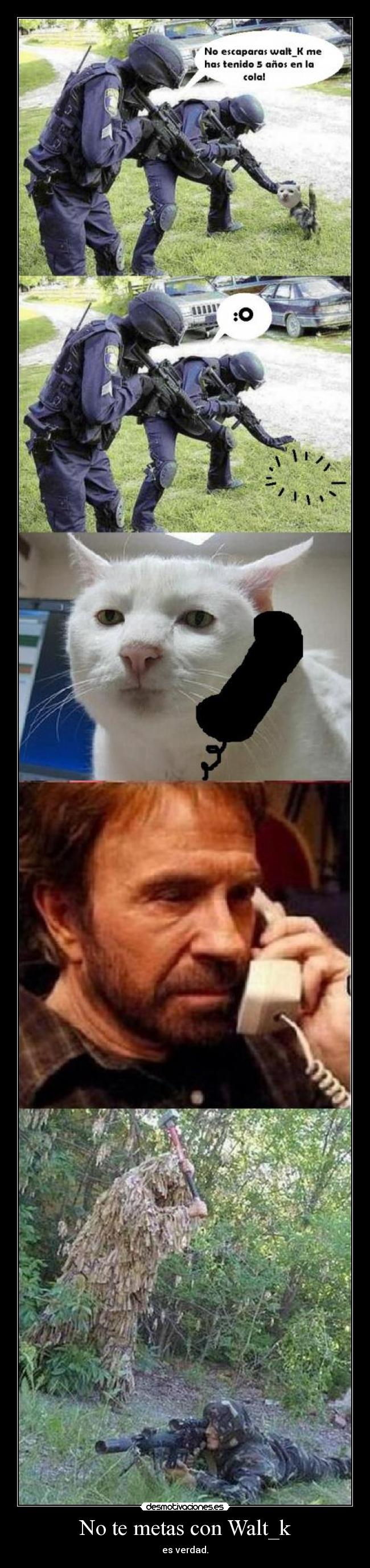 No te metas con Walt_k - 