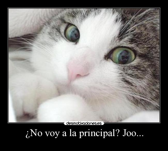 ¿No voy a la principal? Joo... -