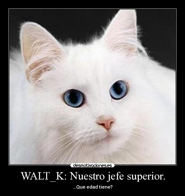 WALT_K: Nuestro jefe superior. -