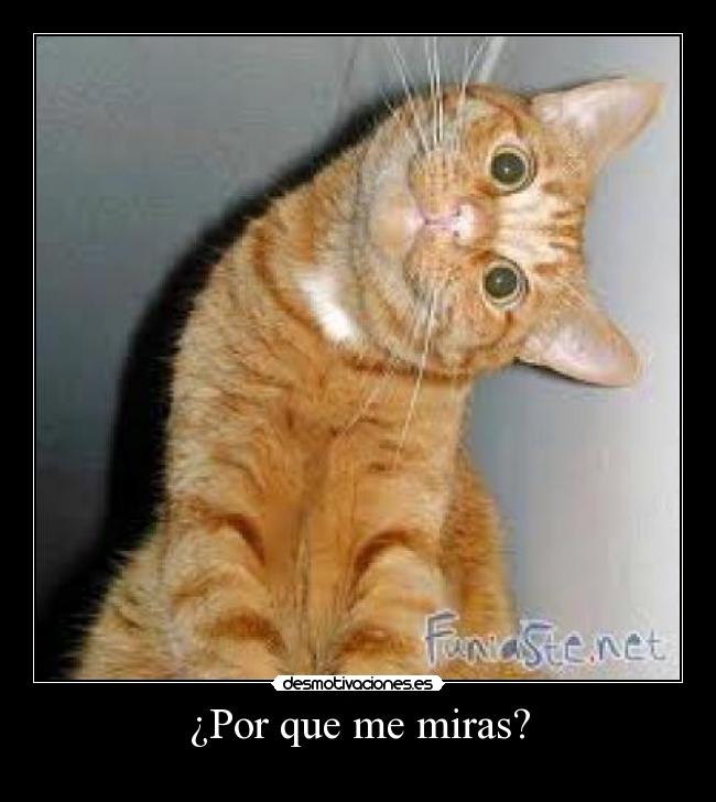 ¿Por que me miras? -