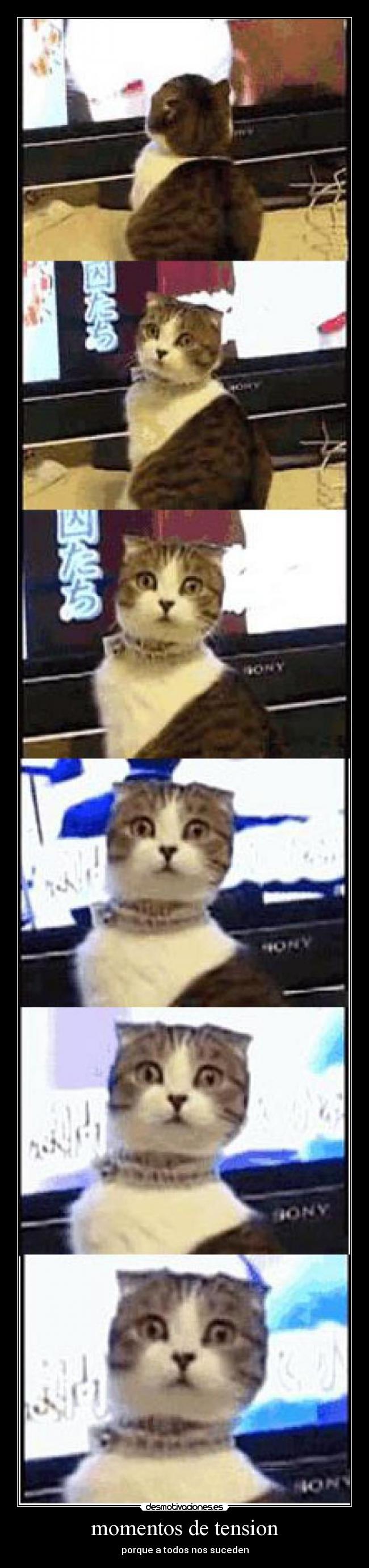 momentos de tension - porque a todos nos suceden