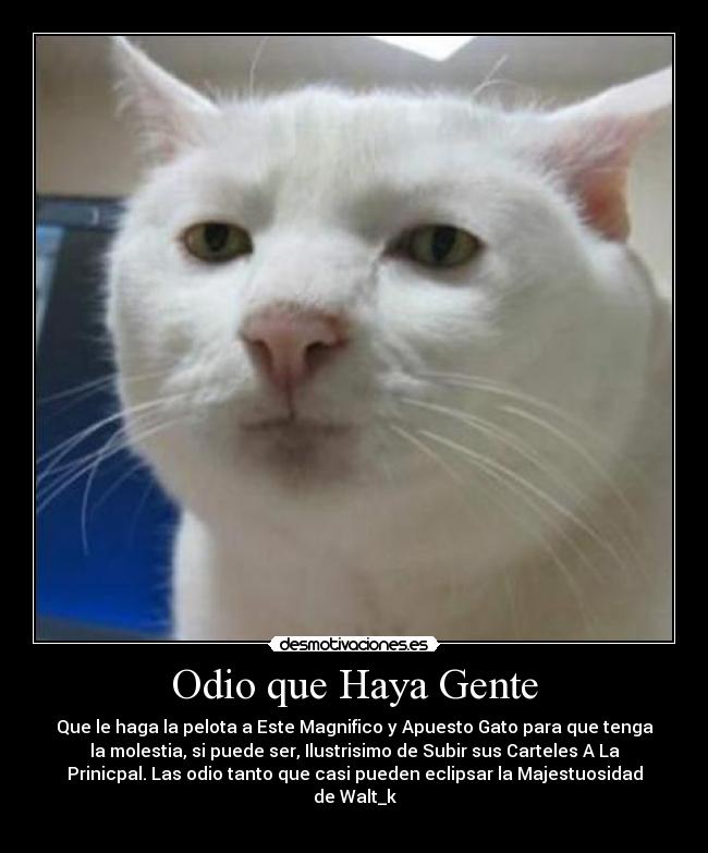 Odio que Haya Gente -