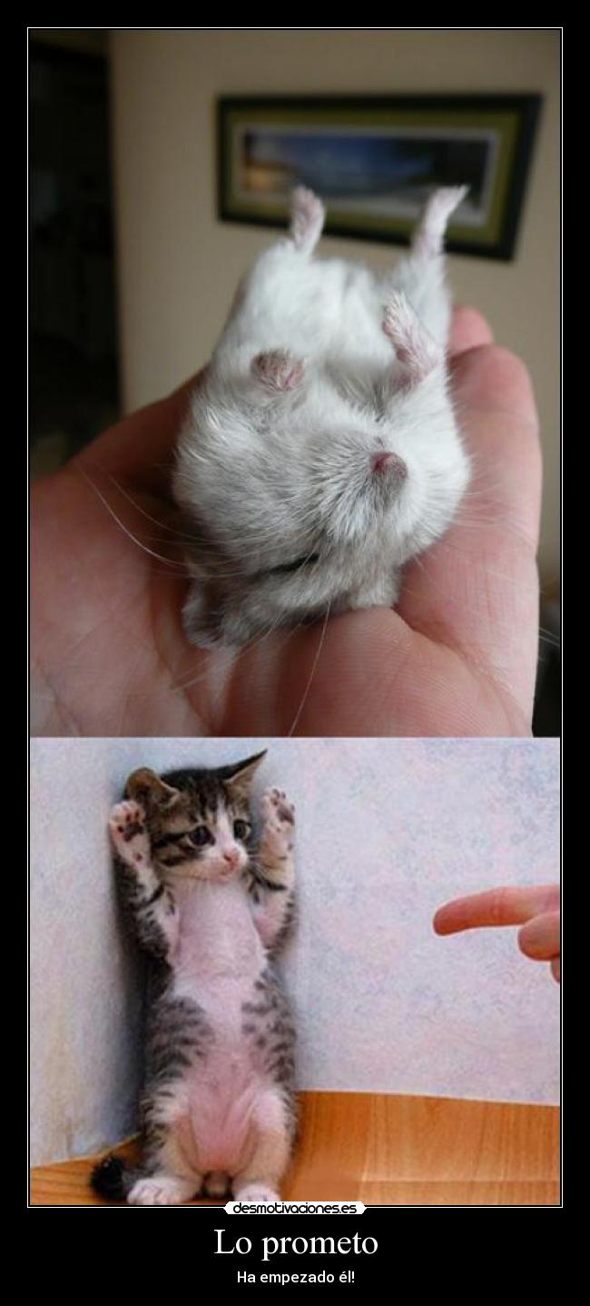 Lo prometo -