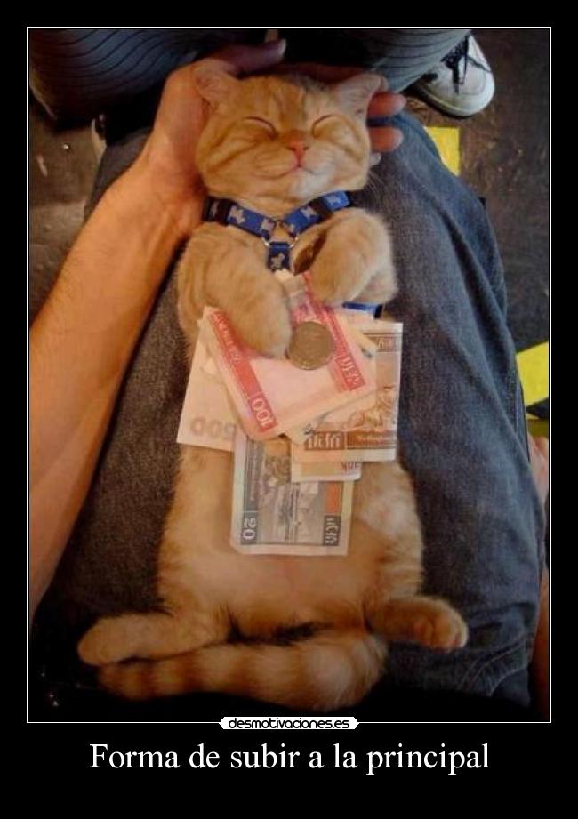 carteles forma subir principal desmotivaciones