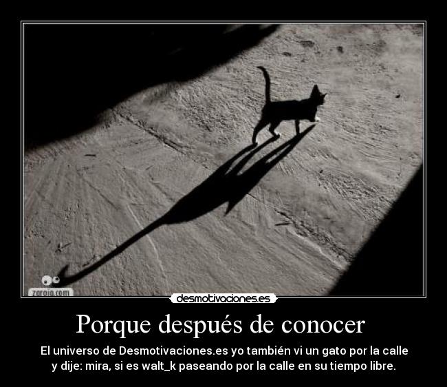 Porque después de conocer  - El universo de Desmotivaciones.es yo también vi un gato por la calle
y dije: mira, si es walt_k paseando por la calle en su tiempo libre.