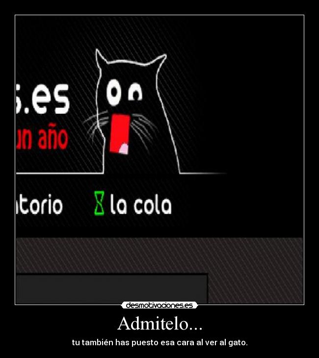 Admitelo... - tu también has puesto esa cara al ver al gato.