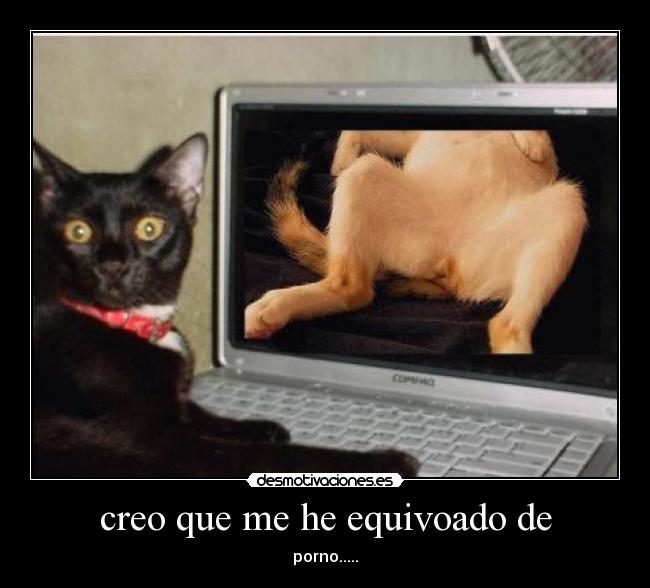 creo que me he equivoado de -